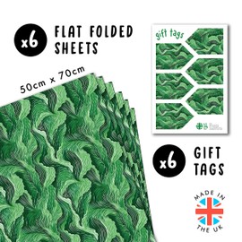 CENTRAL 23 Green Wrapping Paper - 6 Sheets Of Gift Wrap - Abstract Scallop Waves - Birthday Wrapping Paper For Men Women Boys Girls - All Occasion - Recyclable