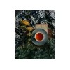 Té Herbal Celestial Seasonings Sleepytime Manzanilla Menta Sin Cafeína 20