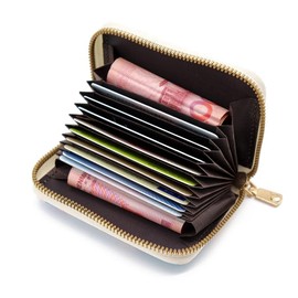 Womens Credit Card Holder Small RFID Blocking Ladies Wallet, Mini Credit Card Wallet Purse with Zipper, 9 Card Slots and 2 Compartments (Style 1, One Size)