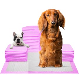 FPN Pads for Dogs 24x36 Inches, 200 | Pink Pee Pads | Diposable Pads for Dogs | with Leak-Proof Quick-Dry Design for Potty Training, Standard Absorbency