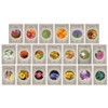 Flower Seed Set - Flower Varieties of Non-GMO & Heirloom