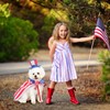 JaGely 3 Pcs 4th of July Dog Outfit Independence Day