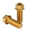 UHDFBDHF 4Pcs Titanium Bolt Flange Torx Head M8 M10 x