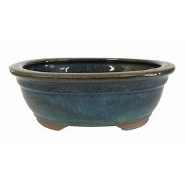 Brussel's Bonsai CGO38-6DMG Oval Glazed Ceramic Pot, 6"/Small, Teal