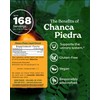 Herb Pharm Chanca Piedra Liquid Extract for Urinary System Support