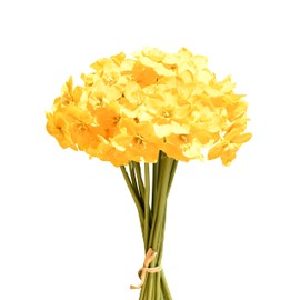 Mandy's 12pcs Yellow Fake Flowers Artificial Daffodils Flowers 16" for Mother's Day Easter Party Home Decoration Christmas Centerpiece