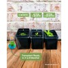 Venus Fly Trap, Grow Your Own Venus Flytrap in a
