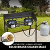 only fire 4Ft 0-30PSI Adjustable Propane Regulator with Tank Gauge
