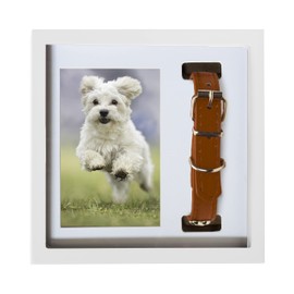 Better World Pets Photo + Collar Memorial Keepsake Photo Frame Holds 4 x 6 inch Picture - for Dogs and Cats – Perfect for Pet Lovers – Wall Mount or Desk, White