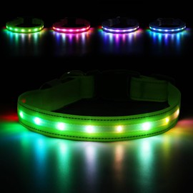 LED Dog Collar, Light Up Dog Collar, USB Rechargeable - Brightest Dog Lights for Night Walking, 6 Light Modes, Adjustable for Dog Safety(Medium, Neon Green)
