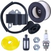 Hyceker MS271 MS291 Ignition Coil Air Filter Tune Up Kit