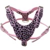 Haoyueer Leather Sharp Spiked Studded Dog Collars, Harnesses & Leashes