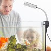 DaToo Aquarium Light Small LED Clip Light for Fish Tank,