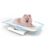 Small Pet Scale Digital Portable Dog Cat Scale Electronic Kitchen