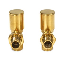 Brushed Brass Radiator Valves Angled Straight Corner 15mm Traditional Towel Rail Valves Pair (Angled)