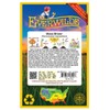 Everwilde Farms - 150 Wood Betony Native Wildflower Seeds -