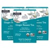 Earth Mama Organic Ginger Nausea™ Tea | Comforts Occasional Nausea