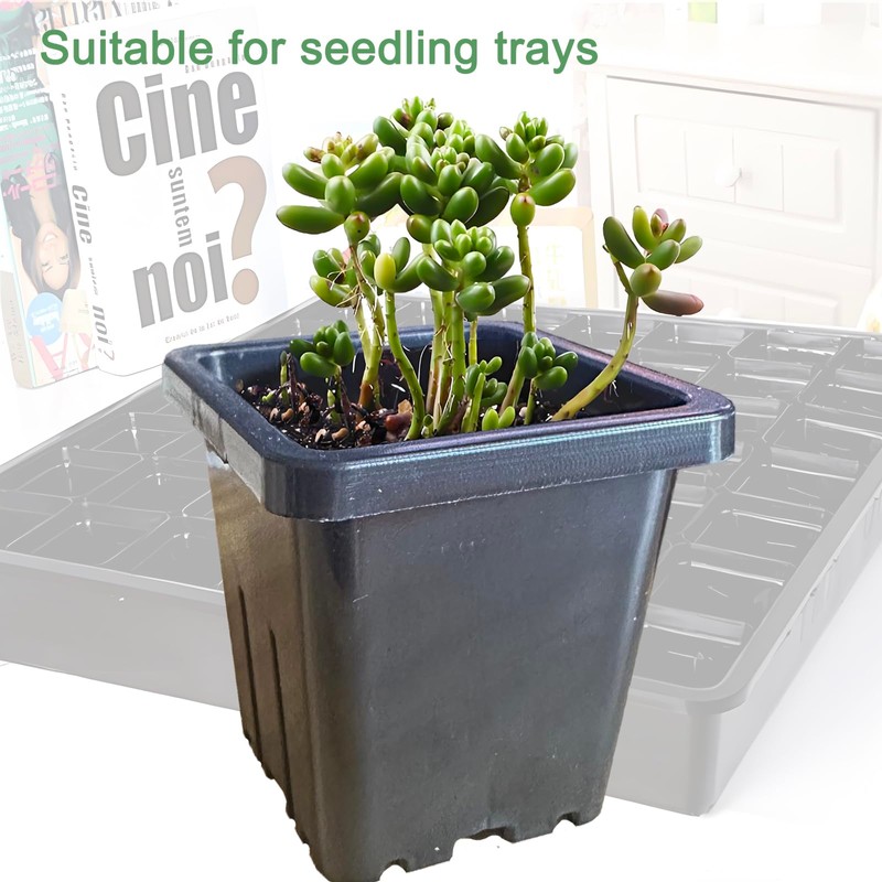 Gyfofix 2 Inch Square Plant Nursery Pots (Black+Clear),50Pcs Seedling Planter