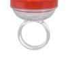 Tgoon Humming Bird Feeder, Hummingbird Finger Feeder Portable 4PCS Bright