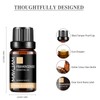 MAYJAM Essential Oil Frankincense 10ml Aroma Oil Essential Oil