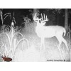 Hightower Products HD 200 Deer Mineral by Hightower Products (20