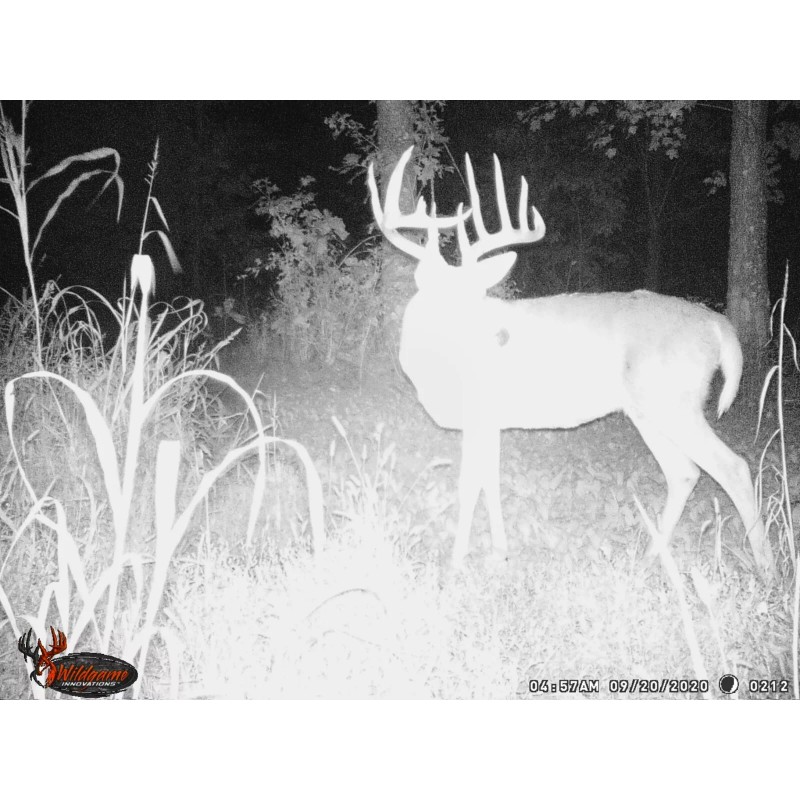 Hightower Products HD 200 Deer Mineral by Hightower Products (20