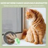 BKSAI Window Fly Screen, Cat Screen, No Drilling, Cat Net,