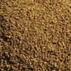 Elderflower Ameyoko Ohtsuya Spice Herb Elderflower Elder Elda Eruda (50g)
