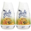 Glade Solid Air Freshener - Hawaiian Breeze - 6 oz