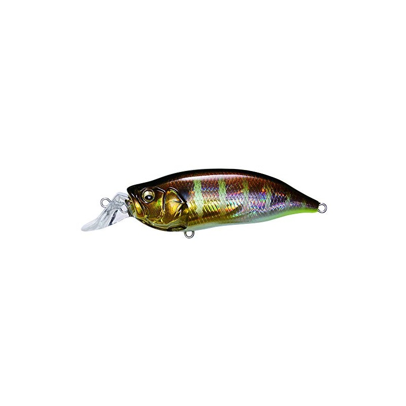 Megabass IxI SHAD Type-R (1)