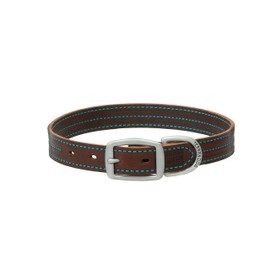 Terrain D.O.G. Bridle Leather Dog Collar
