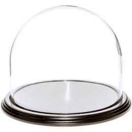 Plymor 8" x 6.5" Glass Display Dome Cloche (Black Wood Veneer Base)