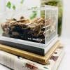 THE MASONRY | Isopod Terrarium Starter Kit | Roly Poly