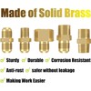 20Ft High Pressure Braided Propane Hose Extension with Fittings -Conversion
