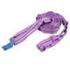 Lifting Sling Hoist Webbing 1T Polyester Rigging Strap Purple for