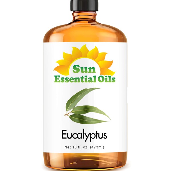 Sun Essential Oils 16oz - Eucalyptus Essential Oil - 16 Fluid Ounces