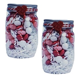 EBK Valentine's Craft Bottles with Lids, Mini Plastic Bottles for Valentines Day Home Table Decoration DIY Crafts Wedding Anniversaries Decor Party Favor & Gifts Set of 2 (Contents Not Included)