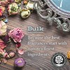 Organix Coconut Milk Fragrance Oil (15ml) For Diffusers, Soap Making,