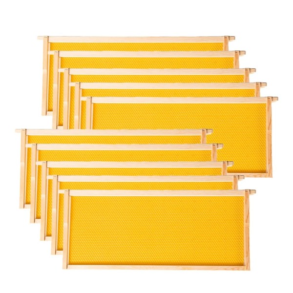 Does not apply Deep Brood Beehive Frames with Wax Foundation,10