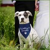 Wedding Crasher Dog Bandana Dog Wedding Bandana Dog Engagement Bandana