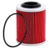 AHL Oil Filter For Can Am Ryker 600 Ryker 900