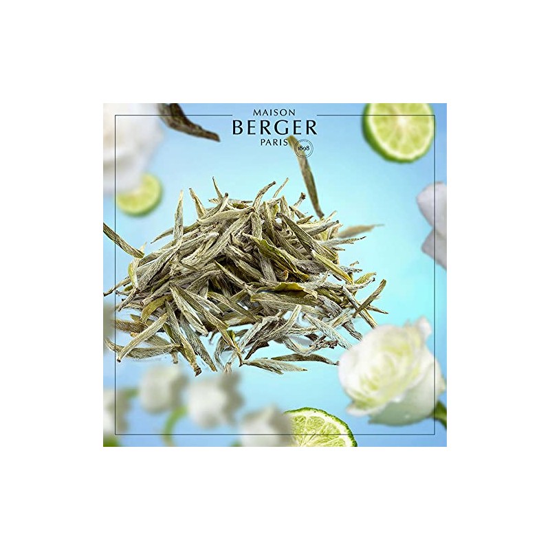 MAISON BERGER Pure White Tea Scented Bouquet Refill 200ml