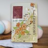 ArtBox 아트박스/허브스토리 더허브스토리에센스 마스크팩 콜라겐 11매입 Artbox/Herbstory TheHerbstoryEssence Mask Pack