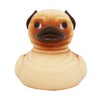 PUG RUBBER DUCK Novelty Gift Collectable