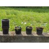 Göttinger Round Pots Diameter 10 x 7.5 cm Black Pack