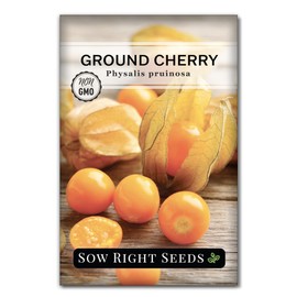 Sow Right Seeds - Ground Cherries Seeds for Planting - Non-GMO Heirloom Packet with Instructions to Plant an Outdoor Home Vegetable Garden - Mexican Husk Tomato - Endangered Variety (1)