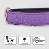 Didog Dog Collar, Waterproof Soft Padded Strong Small Dog Collars