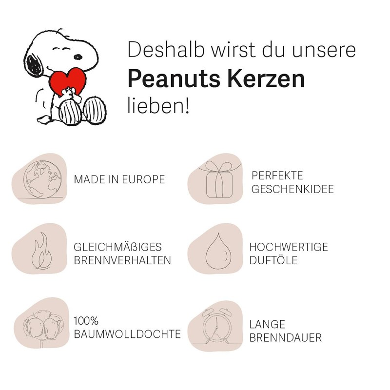 Peanuts Gift Idea (Be Happy)