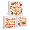 3 Pcs Fall Tiered Tray Decor Hello Fall Sign Home