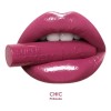 Labial Super Glossy Pink Up Chic Pksgl06